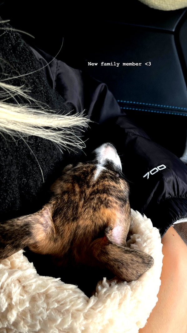 lilih instagram image archive image