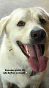 jenniferaniston Altpins Profile Picture