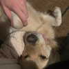 skylasanders Altpins Profile Picture