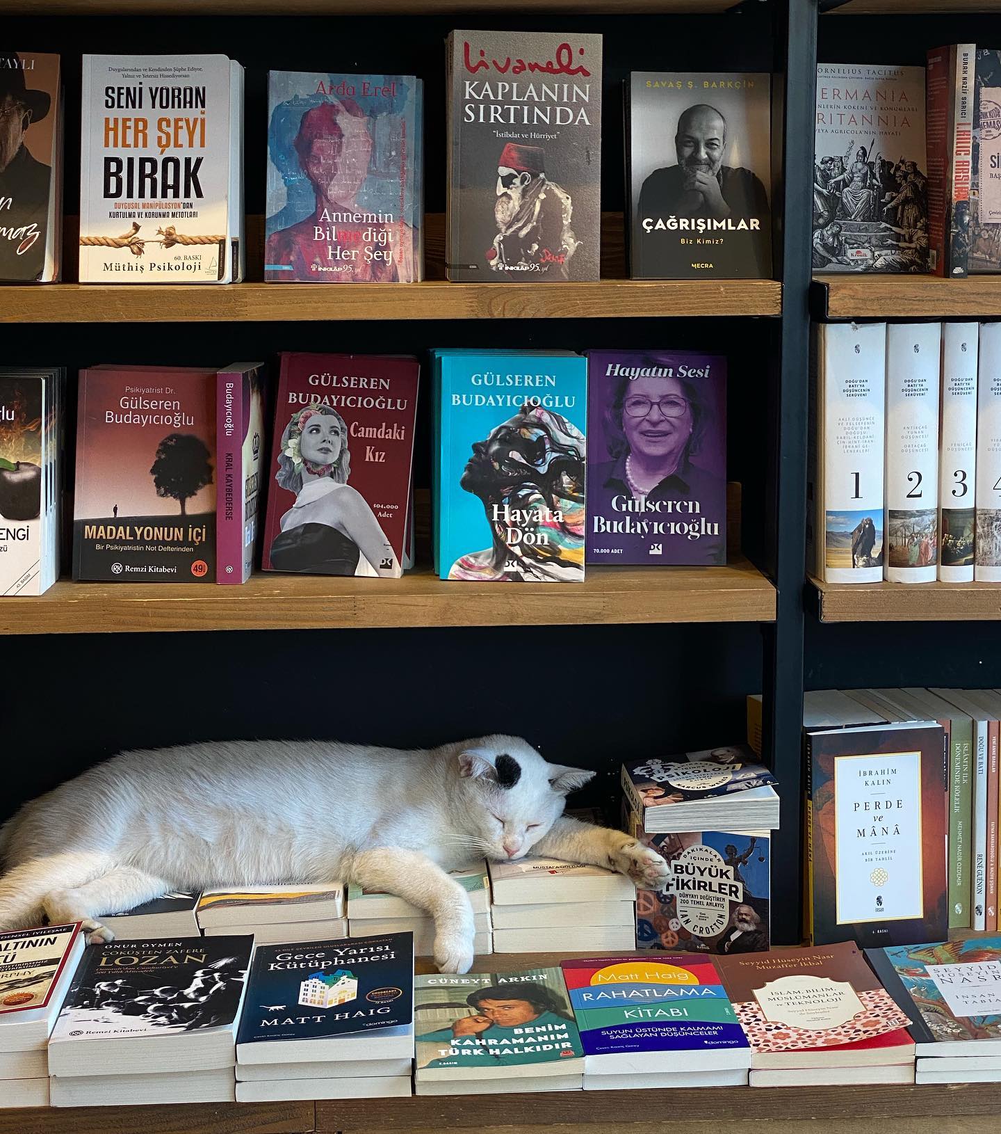 kkulakovaa instagram image archive image