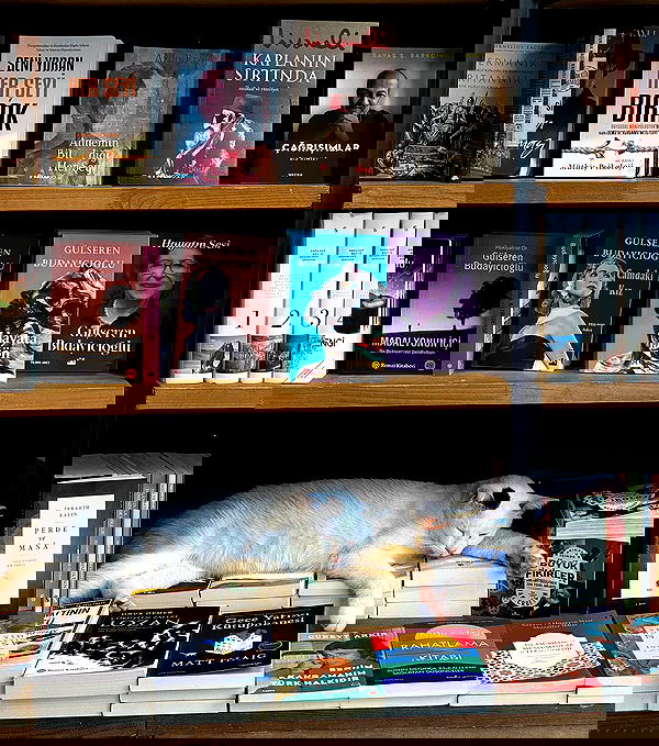 kkulakovaa image ~ Altpins