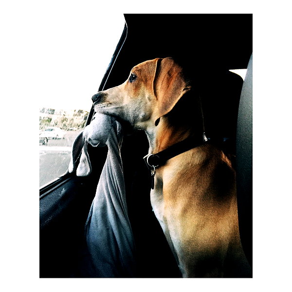 sashapieterse instagram image archive image