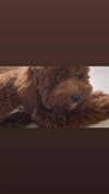 kteaworld Altpins Profile Picture