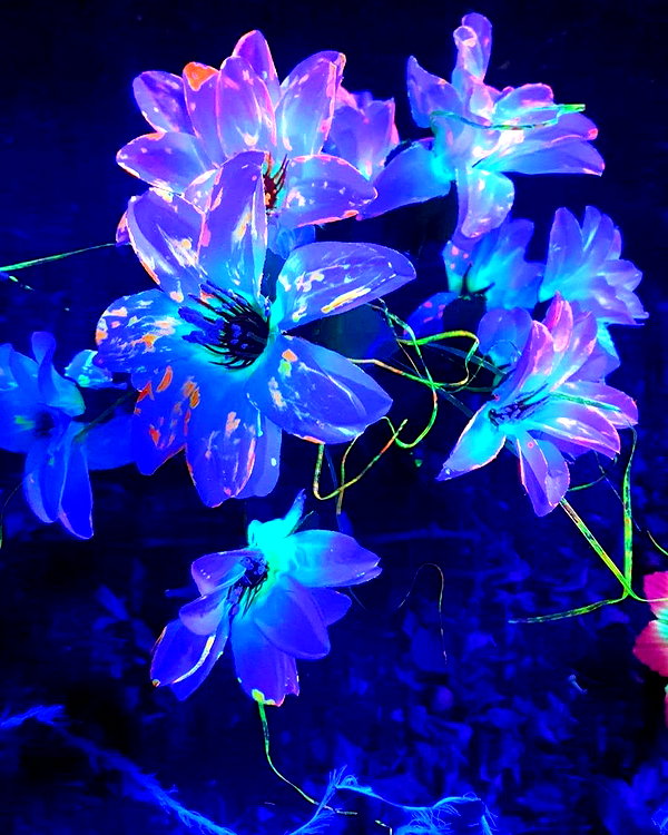 eva_romanovski instagram image archive image