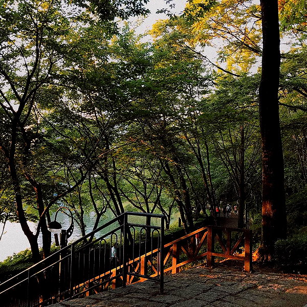 daxbin instagram image archive image