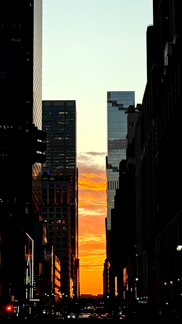 biton__adi instagram image archive image