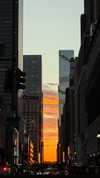 biton__adi Altpins Profile Picture