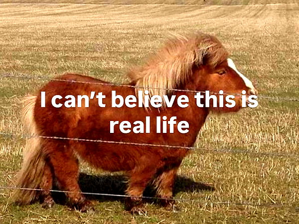 Archived image from @lolabllue on Instagram