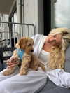 sophiecharlotth Altpins Profile Picture