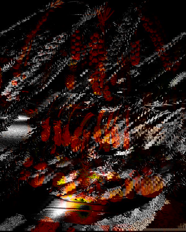 taylor.creeden taylor.creeden archive image