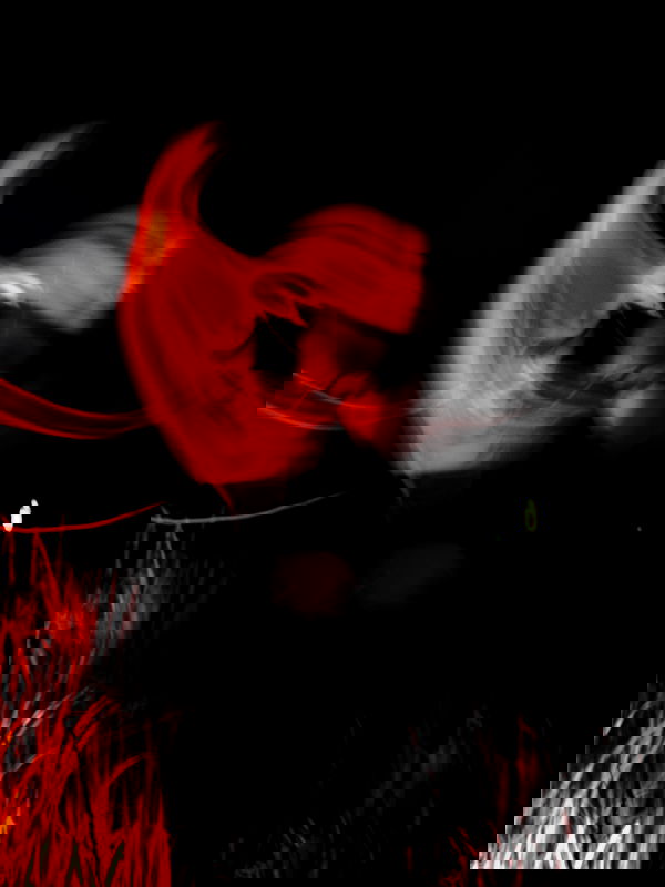 ting851204 ting851204 archive image