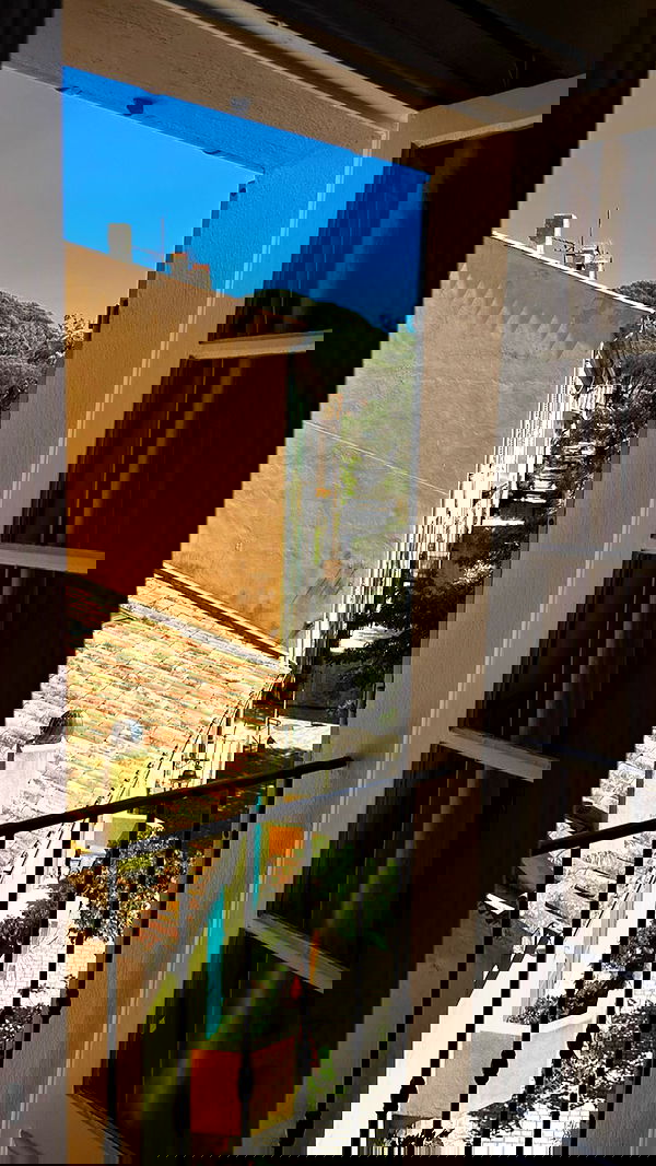 taylor.creeden taylor.creeden archive image