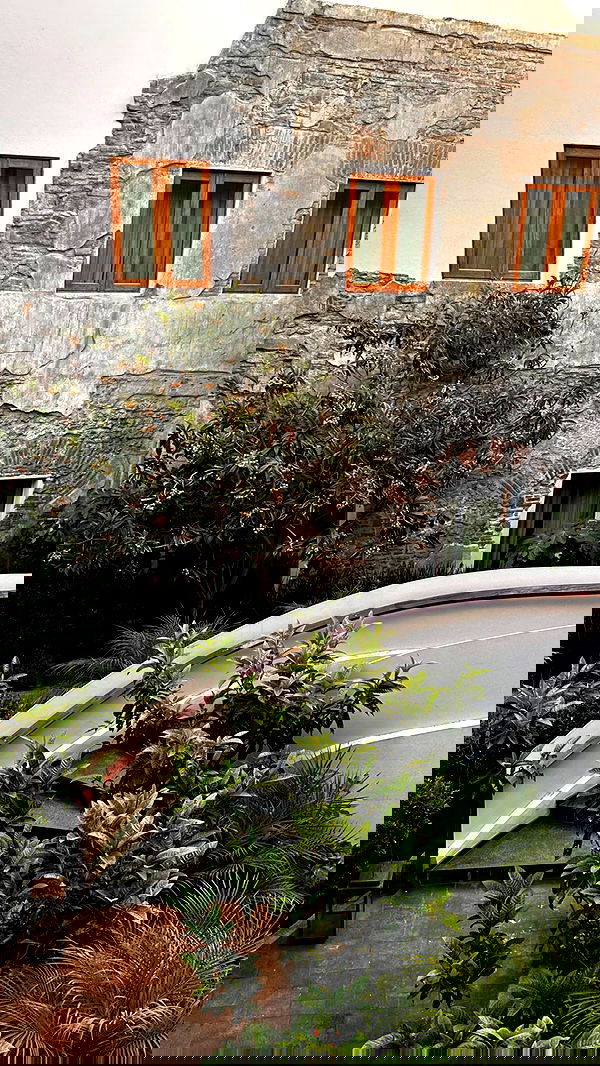 taylor.creeden taylor.creeden archive image