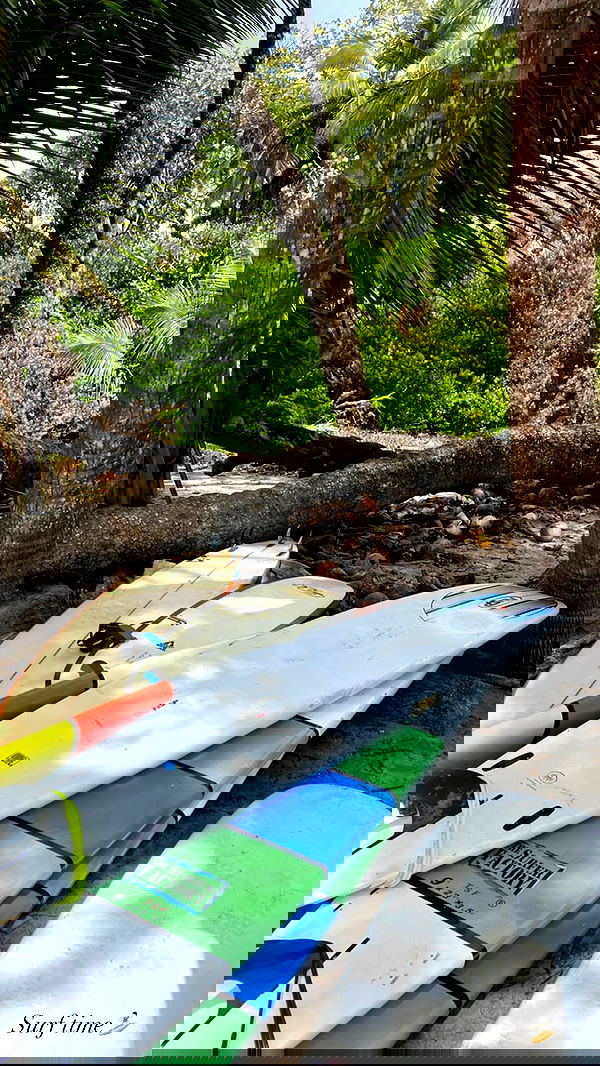 taylor.creeden taylor.creeden archive image