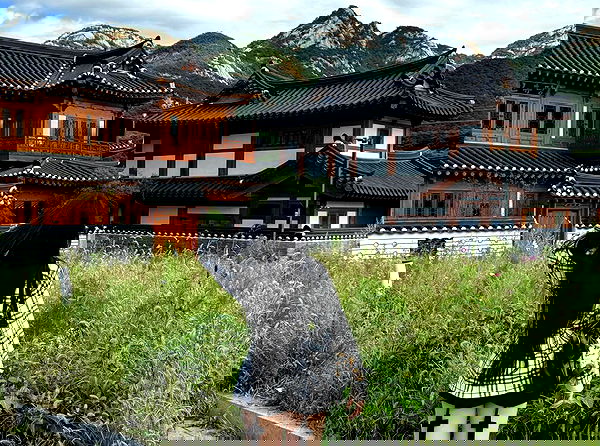 laurinchhhe laurinchhhe archive image