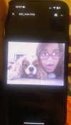 babynympho_archive Altpins Profile Picture