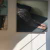 bad.toy Altpins Profile Picture