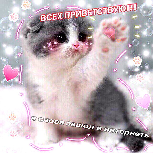 tiny.eviluv instagram image archive image