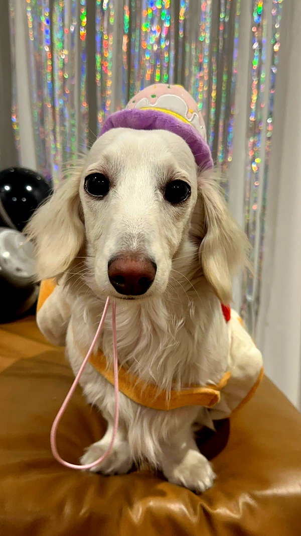 Archived image from @heroineseen on Instagram