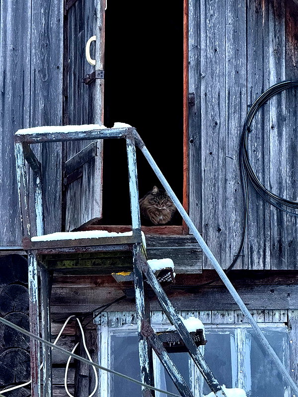 howeversnowy instagram image archive image