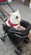 maya.keyy Altpins Profile Picture