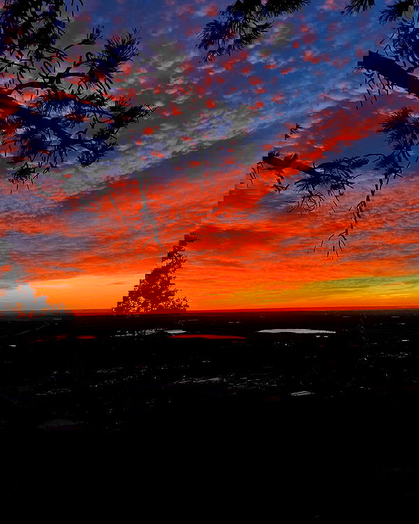 thelizzyporter thelizzyporter archive image