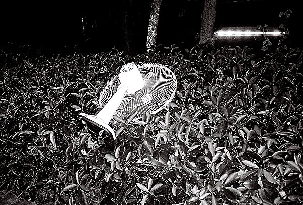 bad.toy instagram image archive image