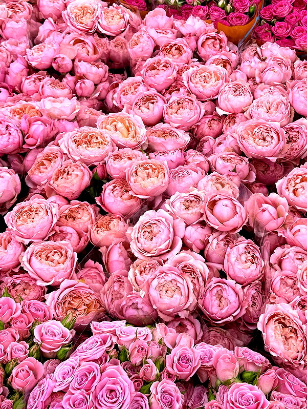 daryanedarya instagram image archive image