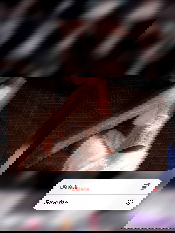 _lil_noa_ _lil_noa_ archive image