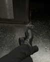 djbabysosh Altpins Profile Picture