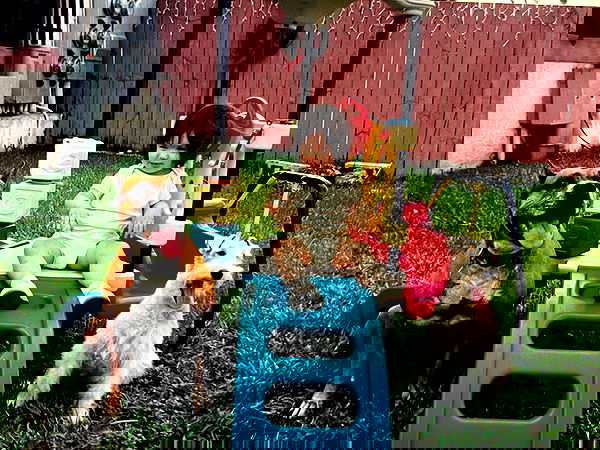 missnyxdawn missnyxdawn archive image