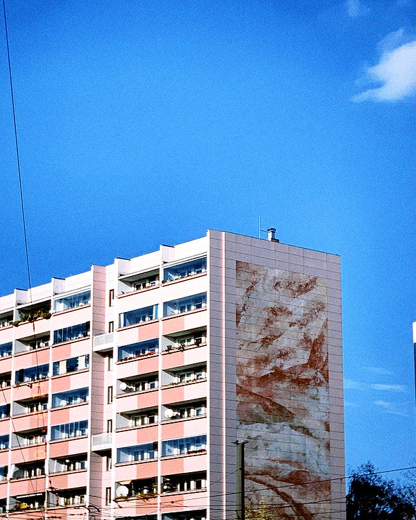 pia__kim instagram image archive image