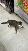 liiza_maarchuk Altpins Profile Picture
