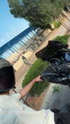 le_daniel18 Altpins Profile Picture