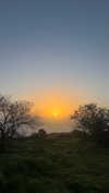 _hilaluu Altpins Profile Picture