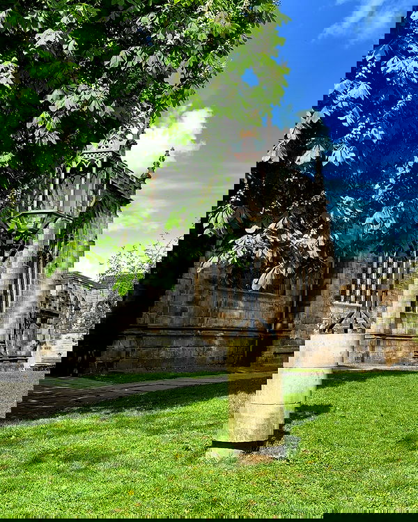 silkton image ~ Altpins