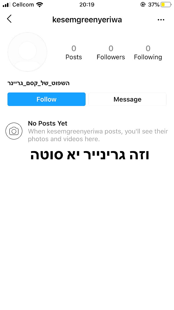 kesemgreenyer instagram image archive image