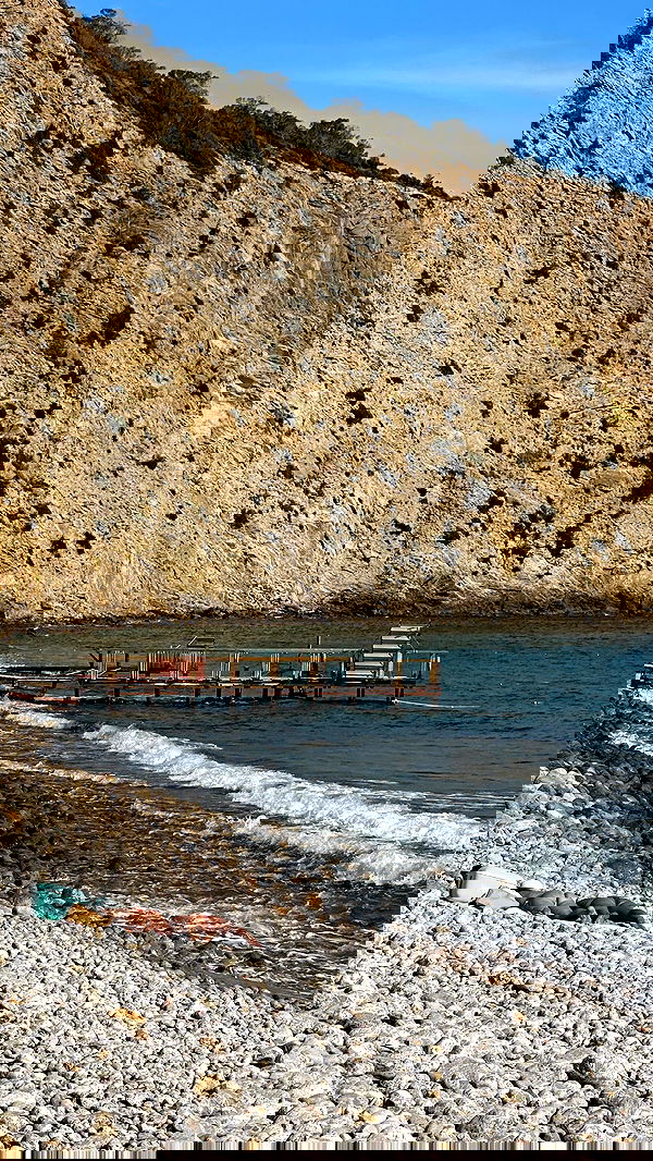 taylor.creeden taylor.creeden archive image