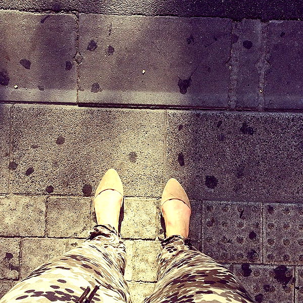 adihimelbloy instagram image archive image