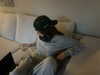 luciaaferrato Altpins Profile Picture
