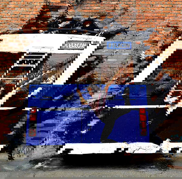 kkulakovaa image ~ Altpins