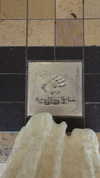 annabottoo Altpins Profile Picture