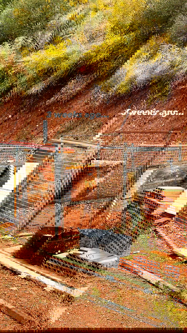 manjolamuriqi manjolamuriqi archive image