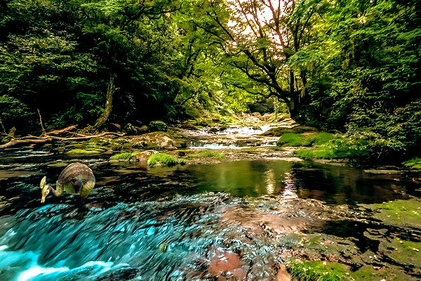 nanasemeron instagram image archive image
