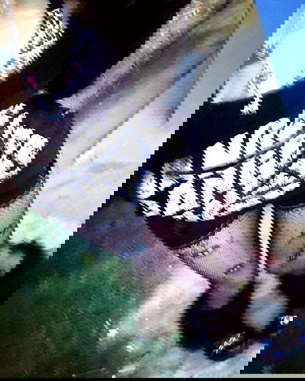 twodollie twodollie archive image