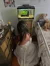 teakitten_ Altpins Profile Picture