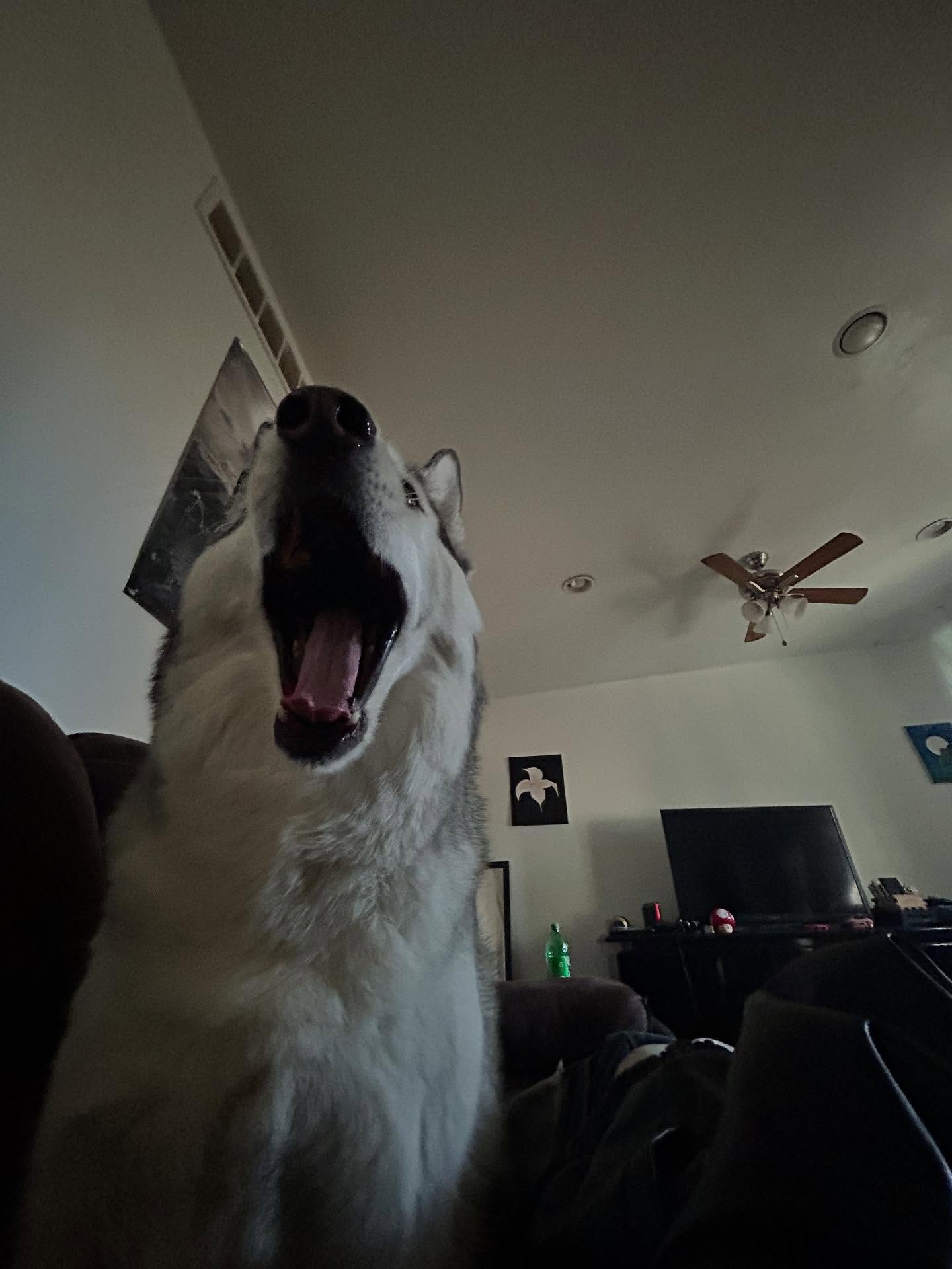 _animechika_ instagram image archive image