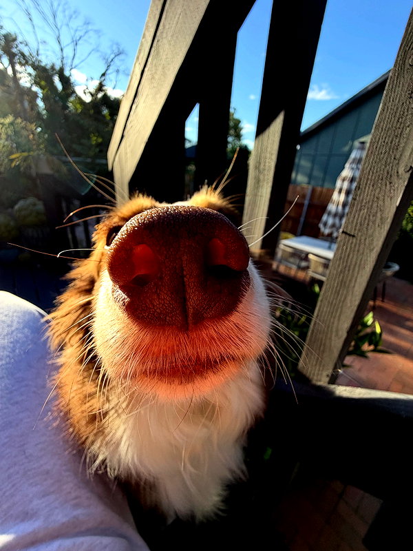 peachtoot.plz instagram image archive image