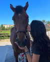 vanessa.rhd Altpins Profile Picture
