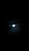 777gixdj Altpins Profile Picture